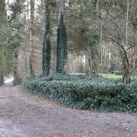 Le Portail Des Ardennes Willa Nassogne