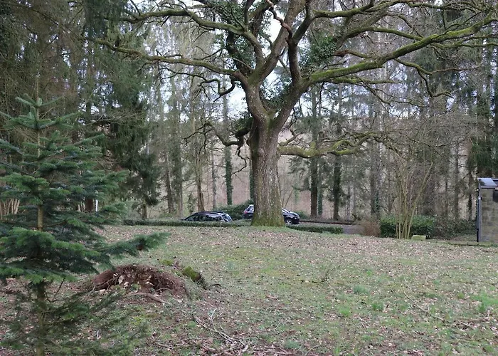 Villa Le Portail Des Ardennes